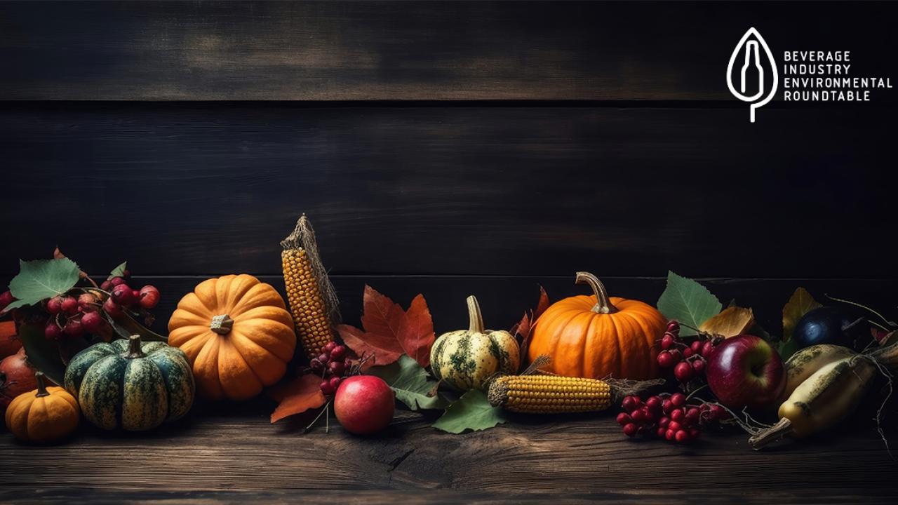 In Gratitude - BIER Stakeholders