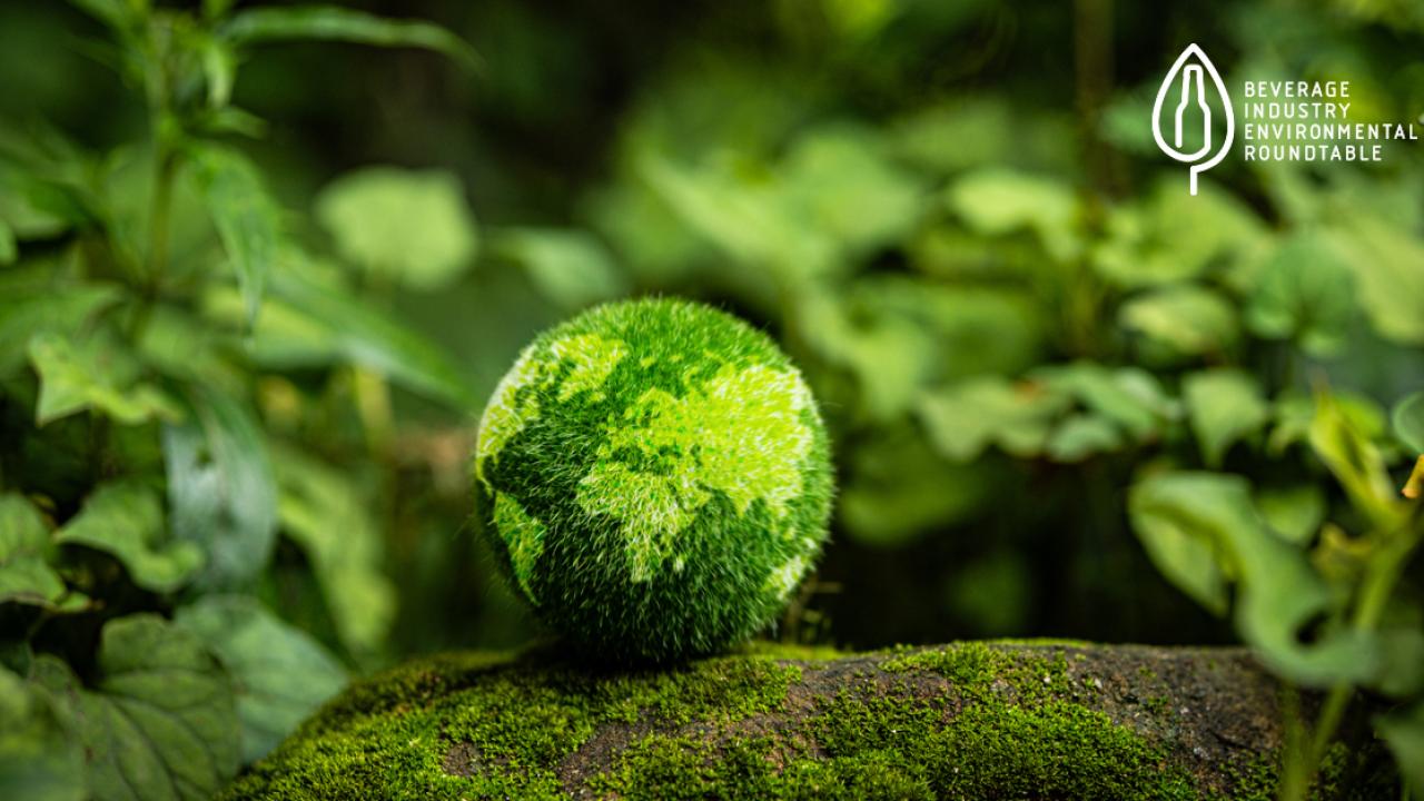 green globe in the forest, sustainability concept