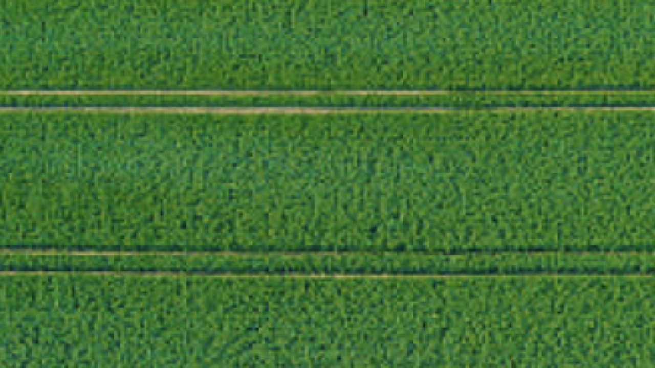 Crops being sprayed