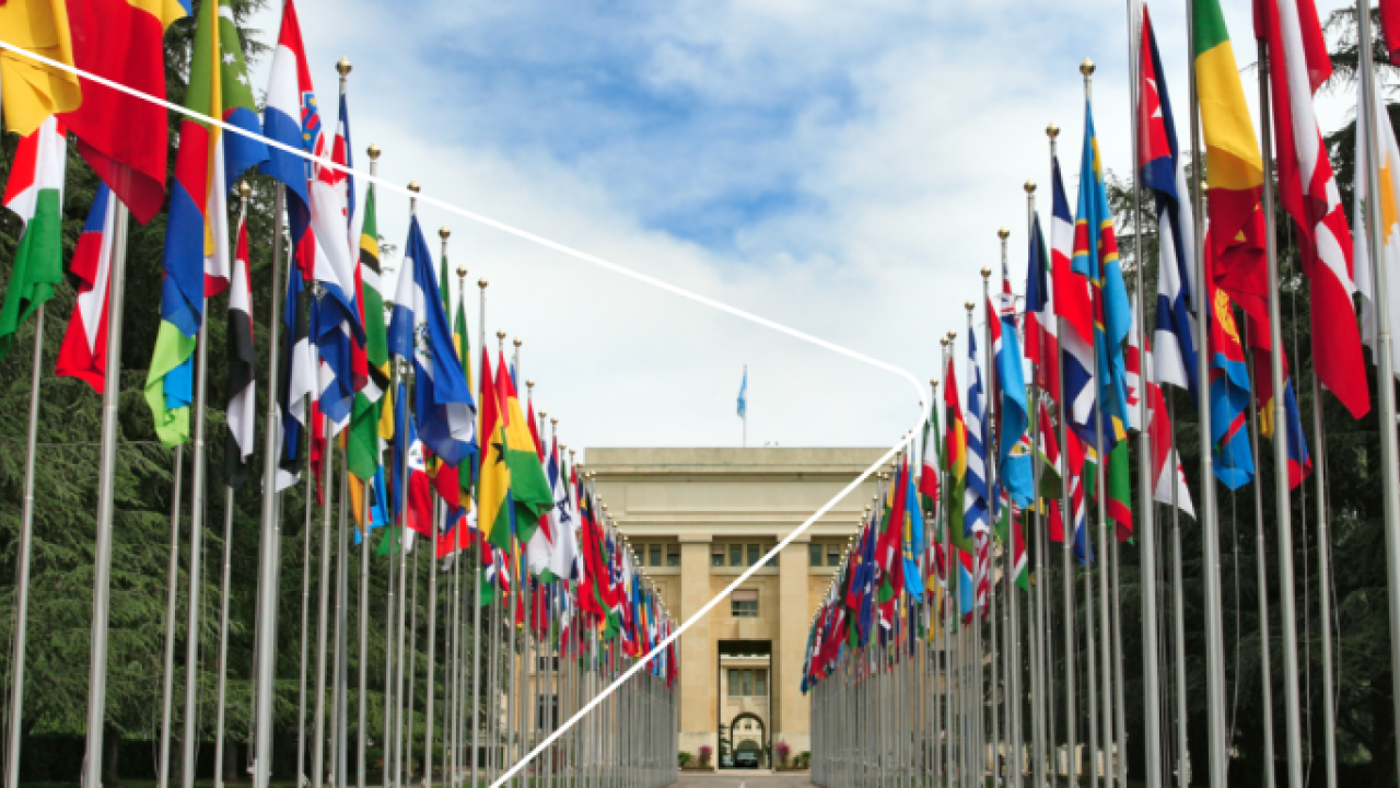 United nations office 