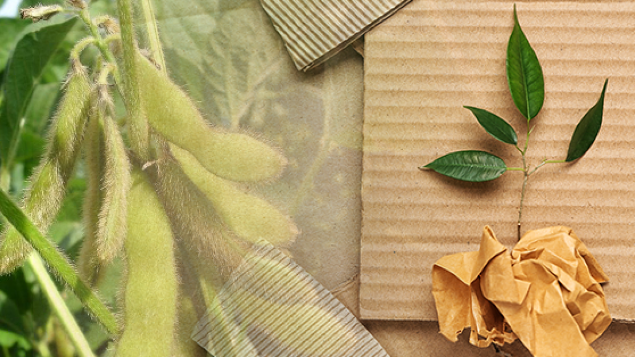 CGF Forest Positive Coalition Soy and PPP Roadmaps