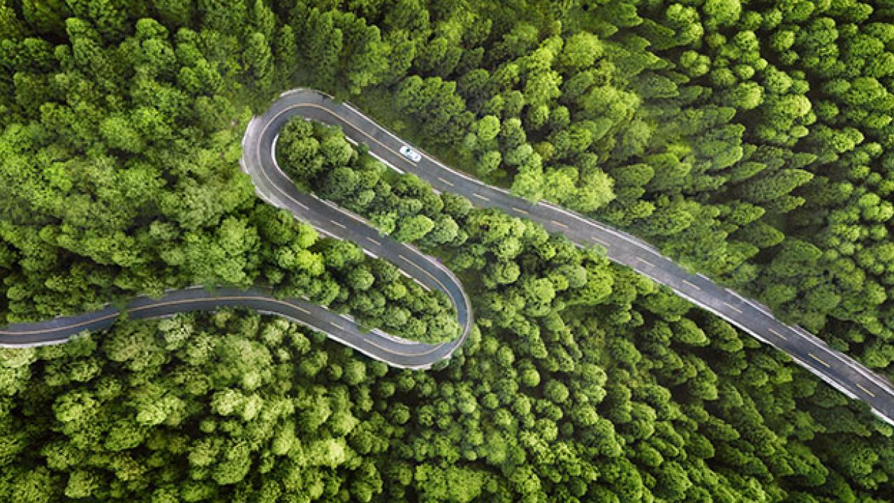 A winding road through a dense forest. A single car driving on it.