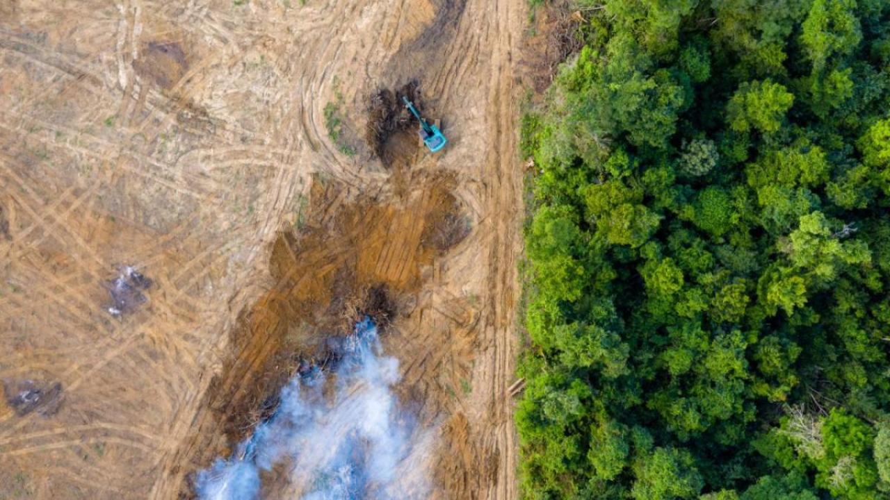 Aerial view of deforestation
