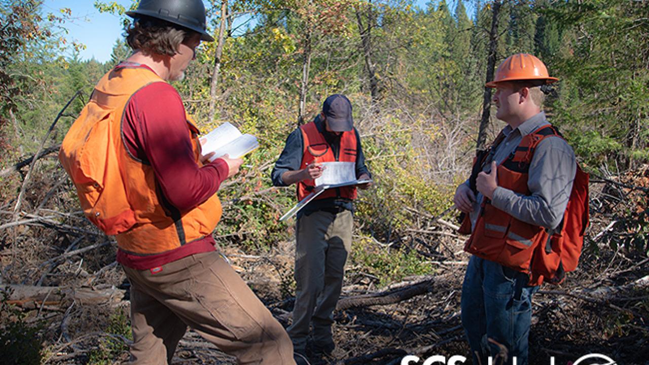 Three workers holding clipboards in a forest, with SCSglobal logo at the bottom of the image