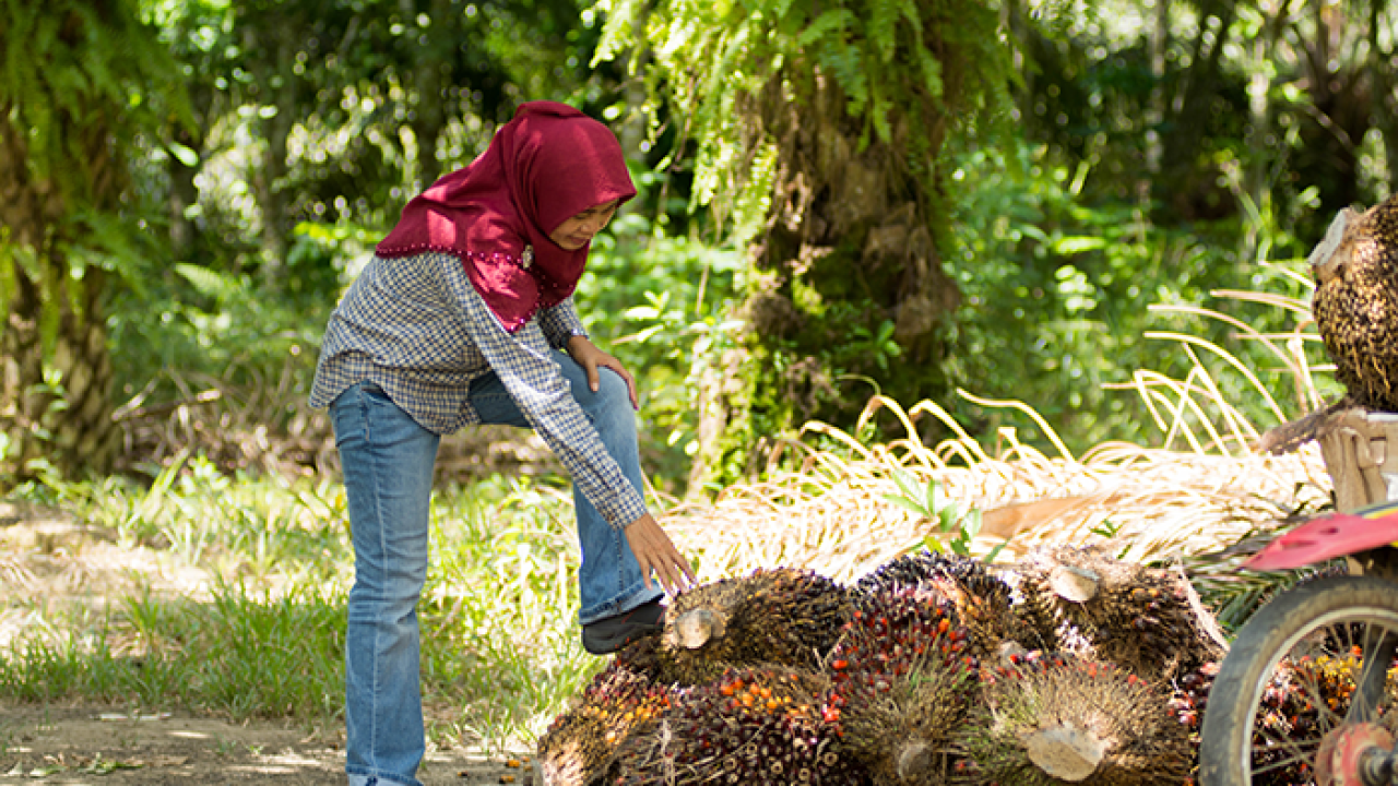 Person examining nature in forest