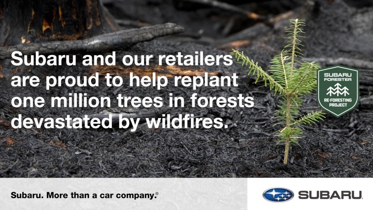 Banner image with tree sapling reading, "Subaru and our retailers are proud to help replant one million trees in forests devastated by wildfires."