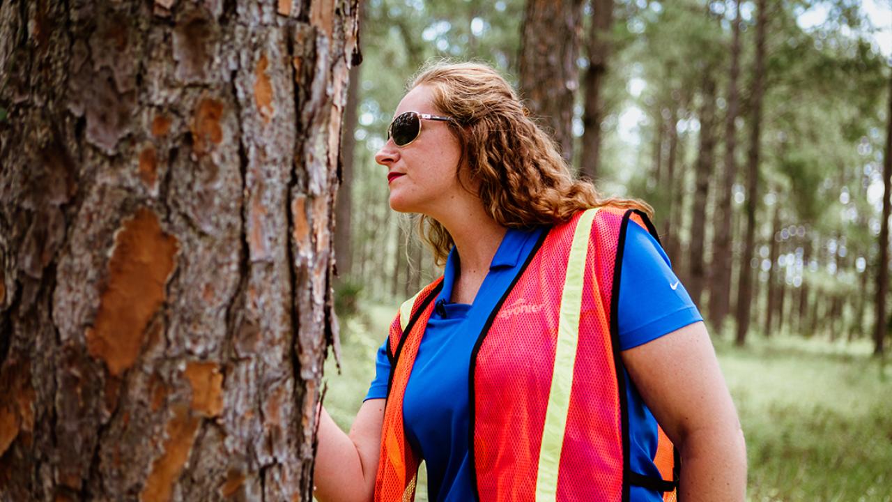 A person in high-vis vest inspects a tree.
