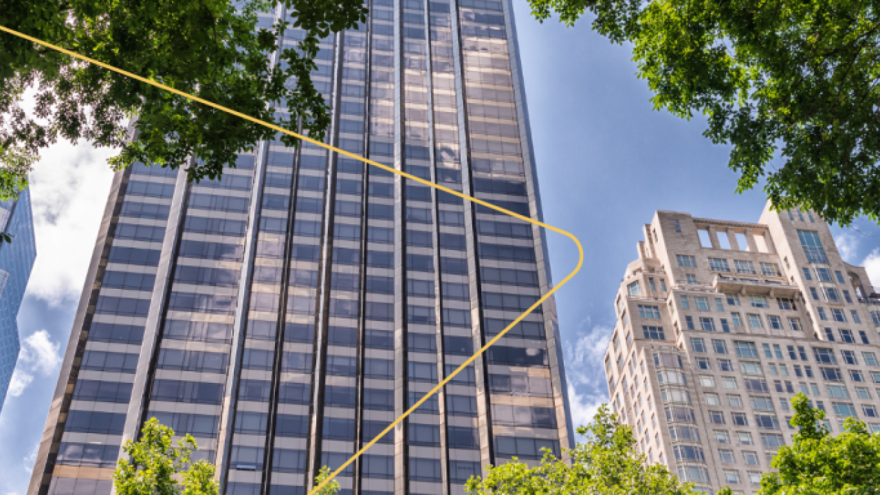 tall buildings seen through a canopy of trees with a triangle overlay