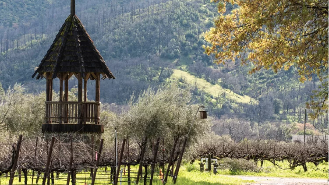 Frey Vineyards in Northern California