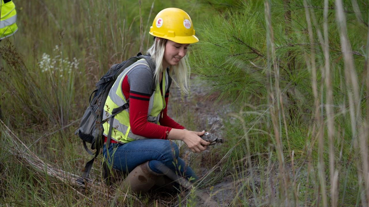 employee with hardhat squats in field