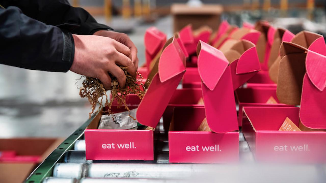 Ian Morris, wellbox; Man packing multiple red boxes.