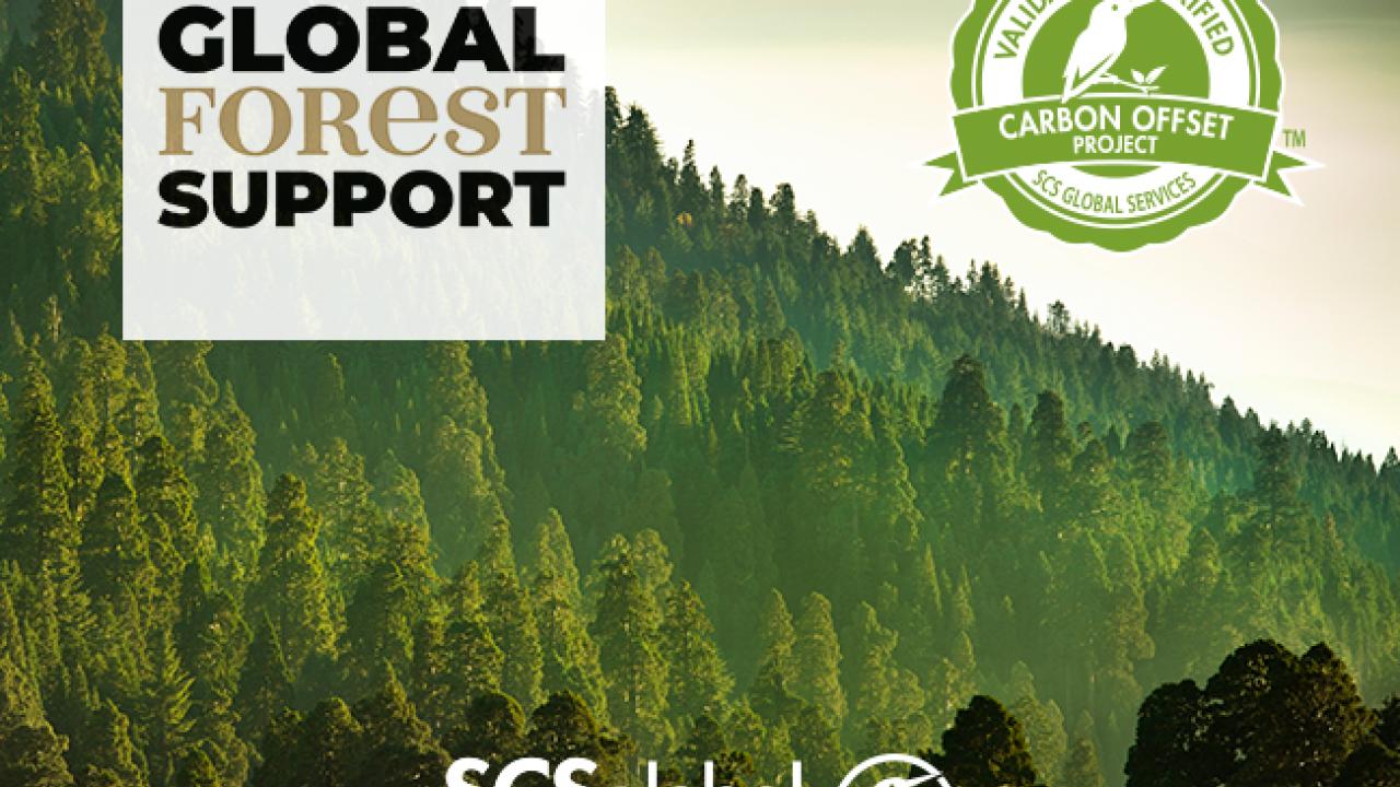 Global Forest Support poster