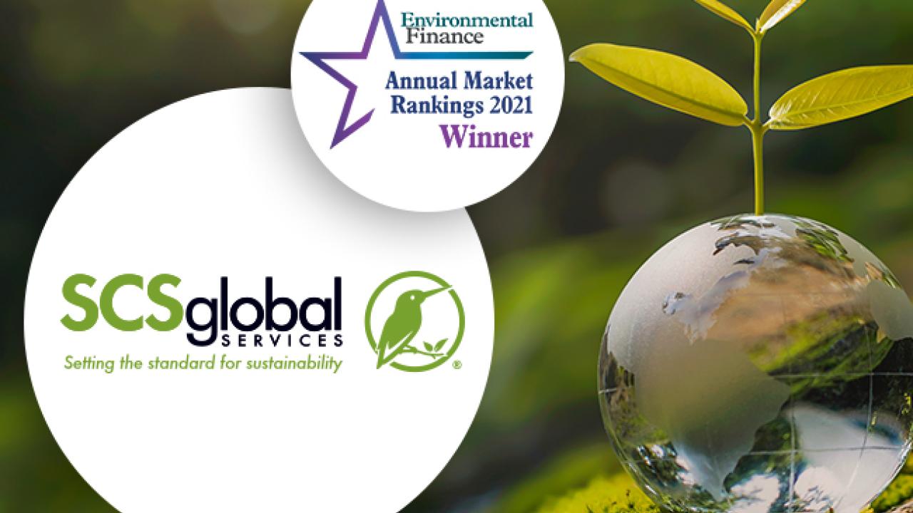 Water droplet shaped as globe with plant coming out of it. SCS global: Environmental Finance award winner