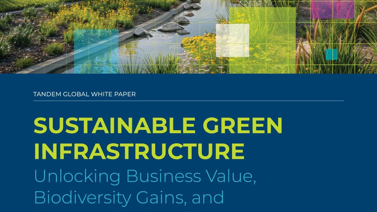 Cover of Tandem Global Green Infrastructure White Paper