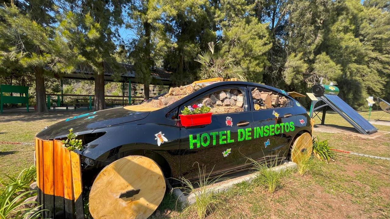 General Motors Argentina's winning bug hotel housed in the body of an old car