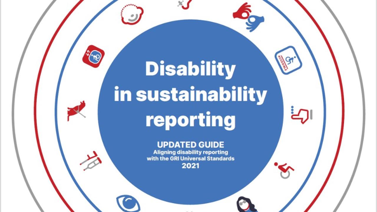 DHUB-GRI disability reporting guide