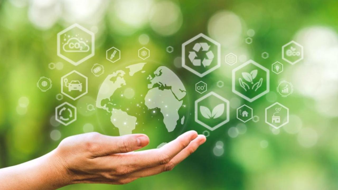 Hand holding a digital globe