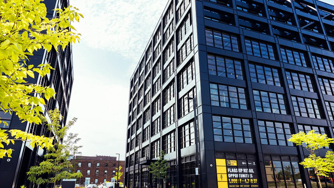 timber-constructed building in Toronto