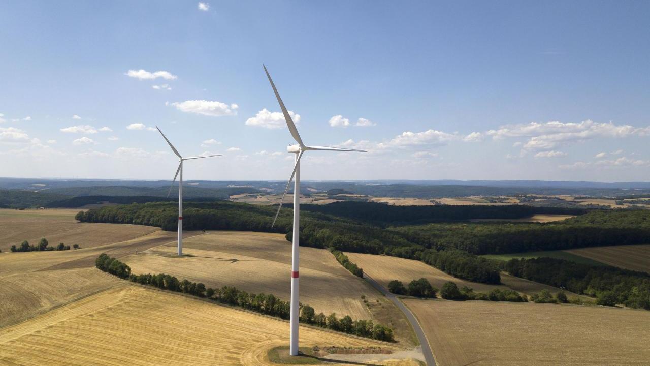 Wind turbines in a field 