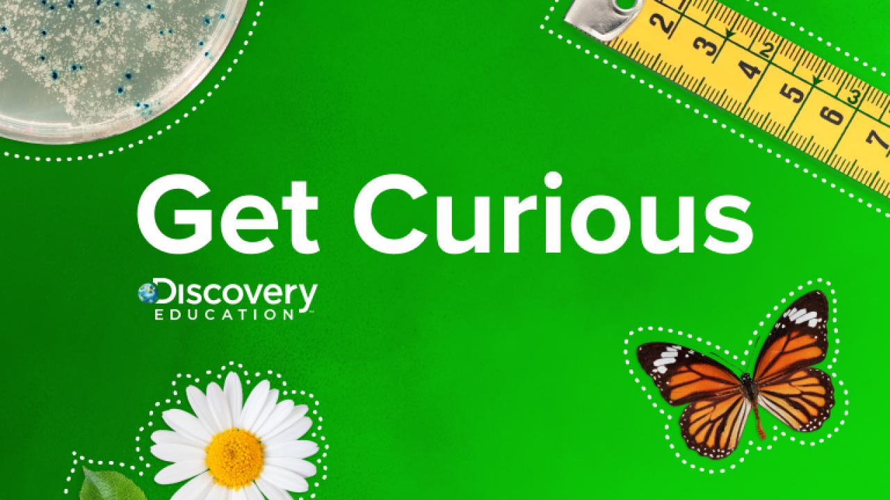 "Get Curious" with a green background, butterfly, flower, and tape measure 