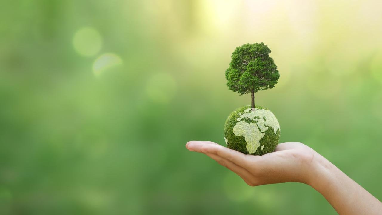 Earth Day 2024