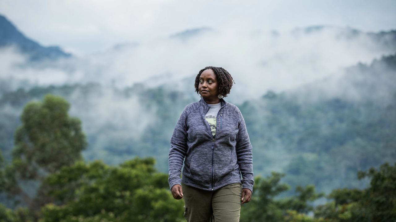 person hiking in the mountains