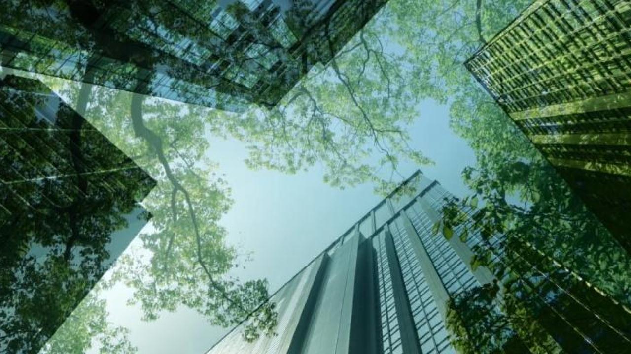 Tall glass multi storey building reflecting trees