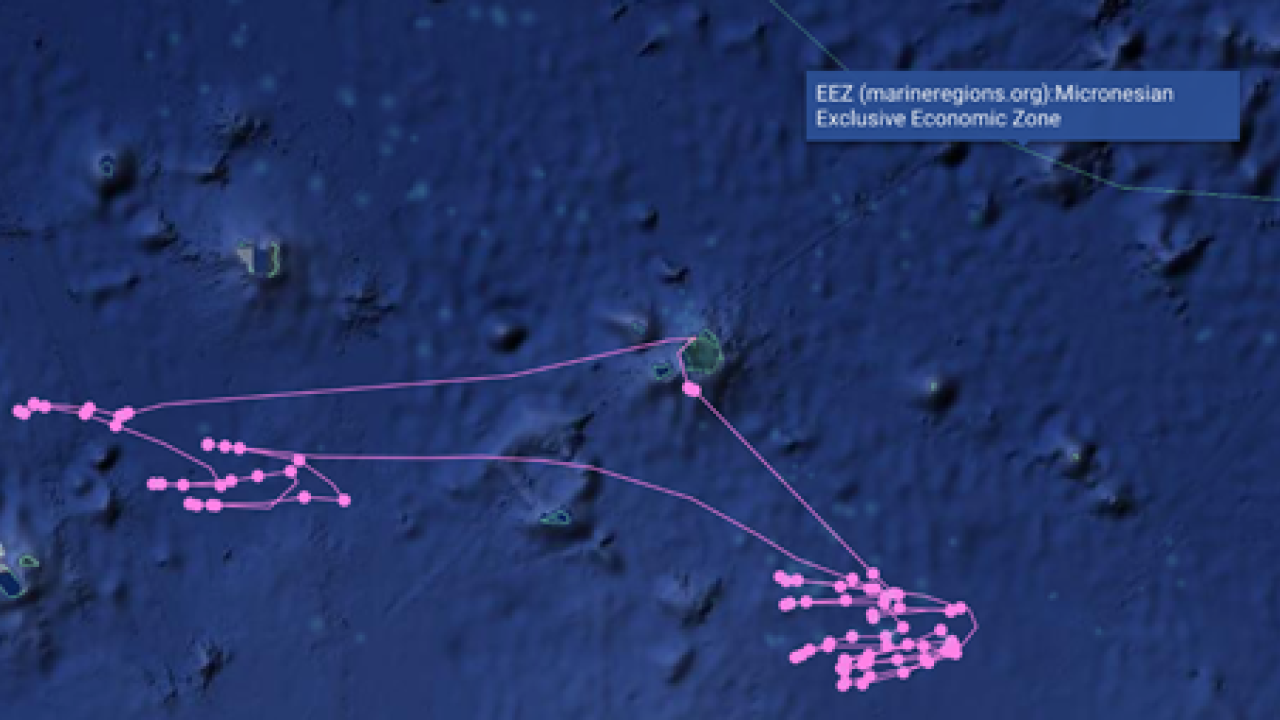 The satellite track of a fishing vessel that caught some of the tuna used to make sushi at Albertsons Companies