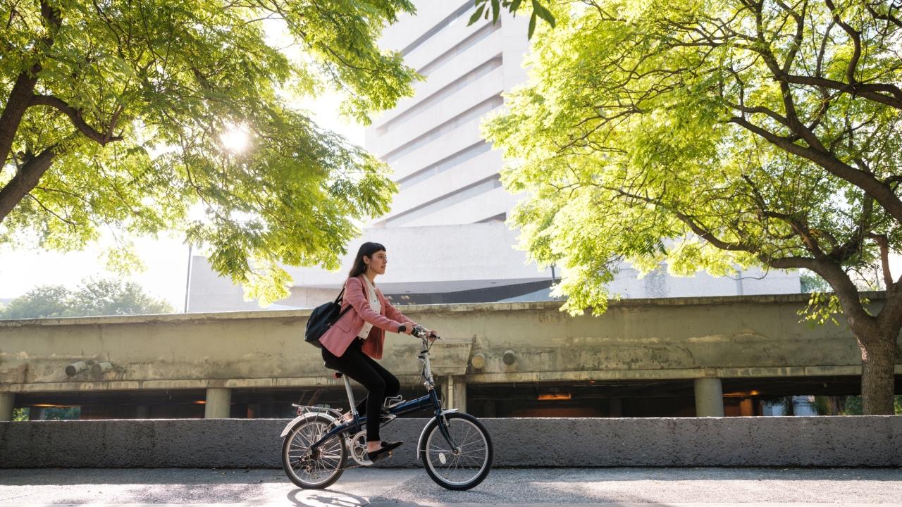 bicyclist near trees and a building