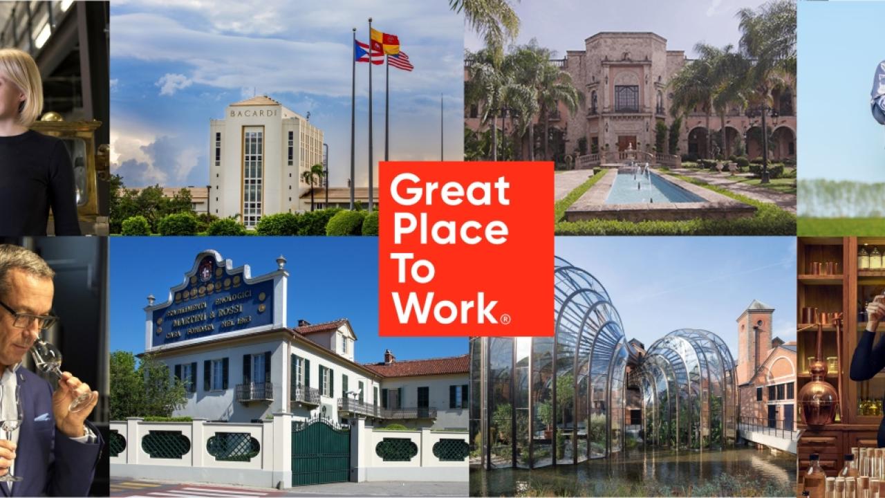 Great Place to Work collage featuring Bacardi employees and facilities