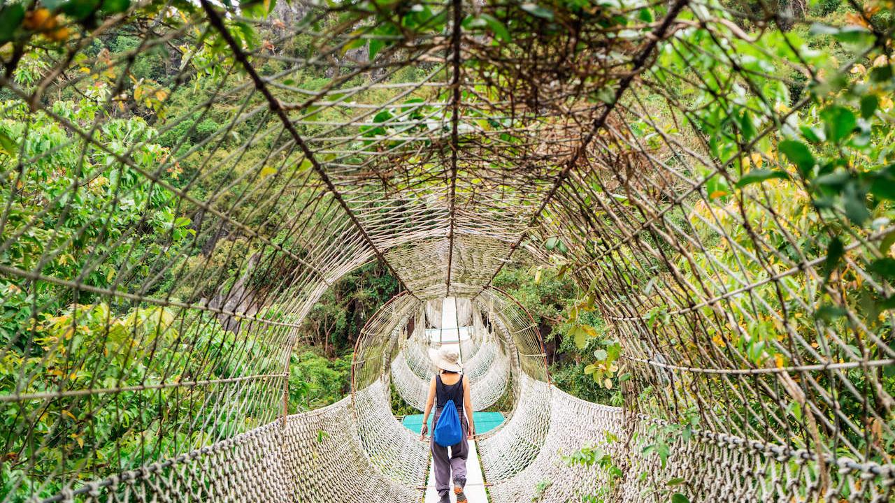 Woman crossing a bridge with a canopy of foliage around her.