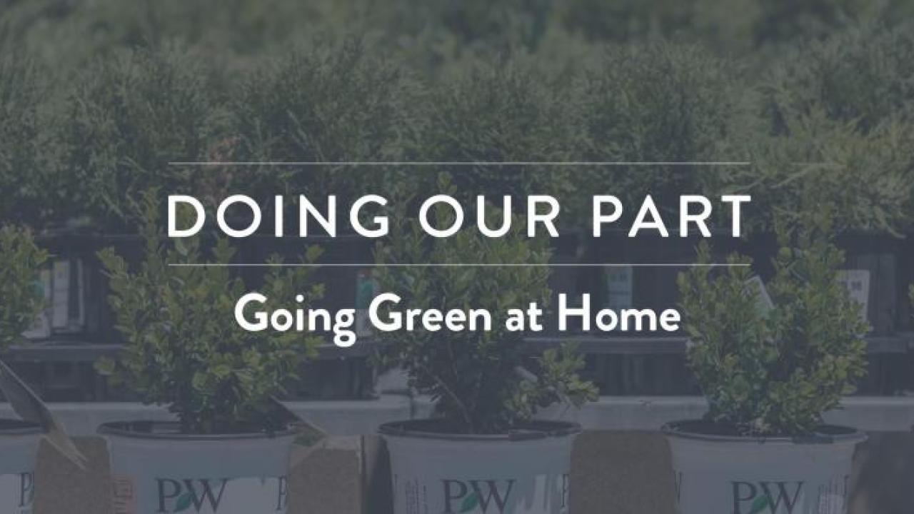 Image of plants in pots, reads Doing Our Part, Going Green at Home