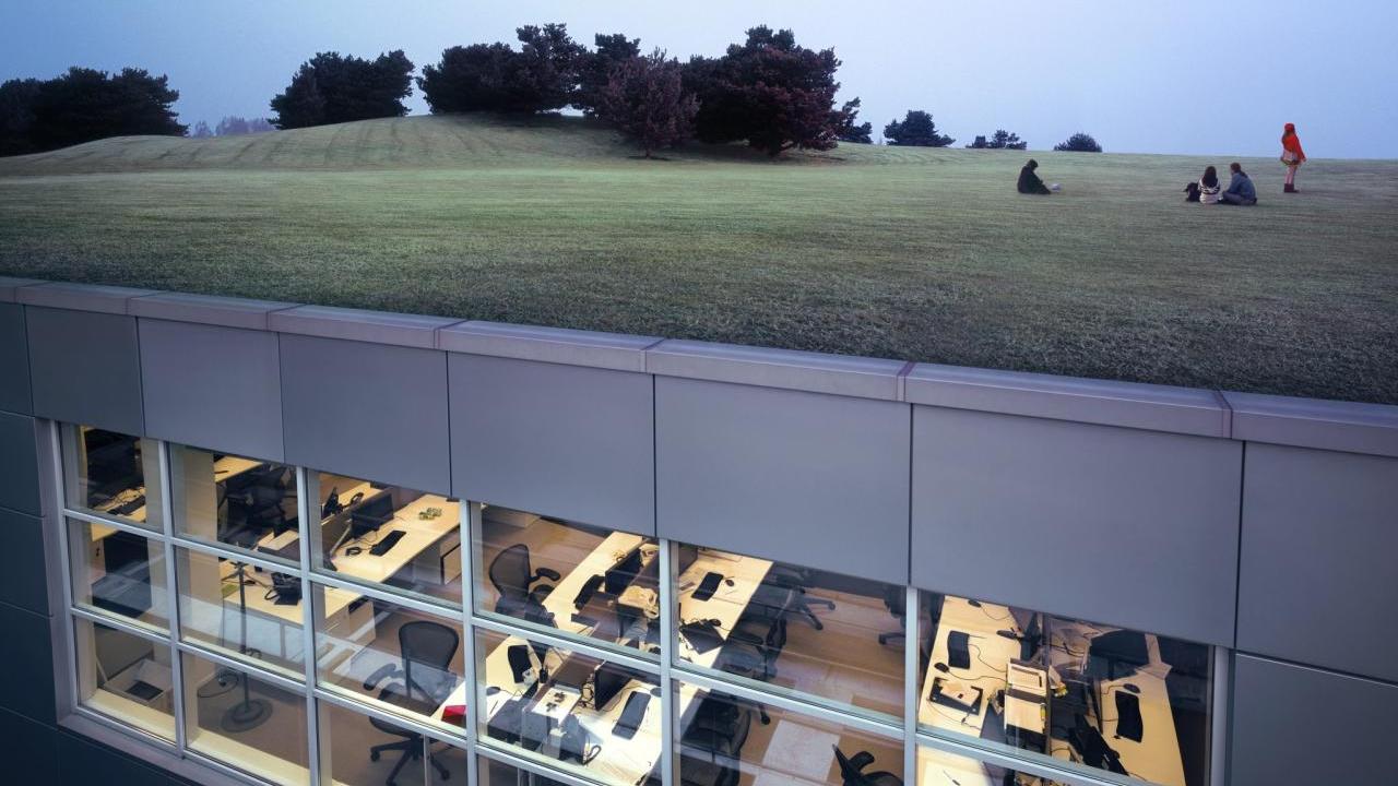 Grass roof of office building