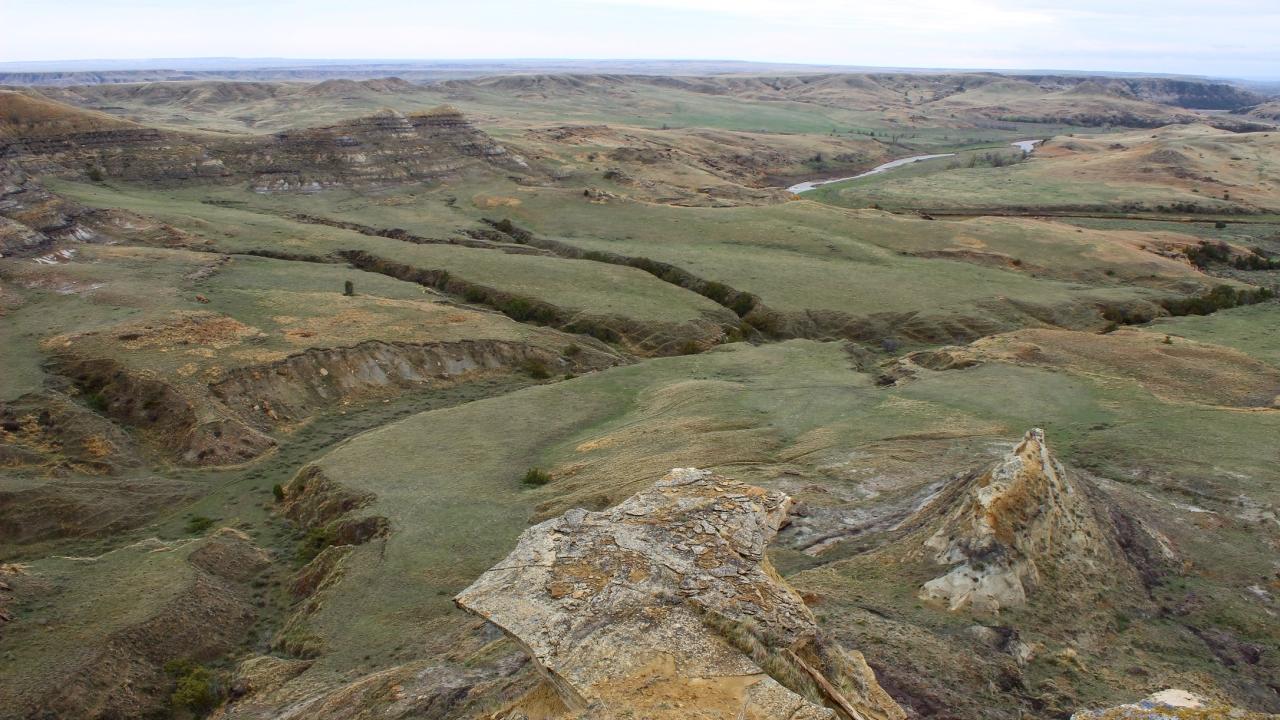 grasslands in Montana