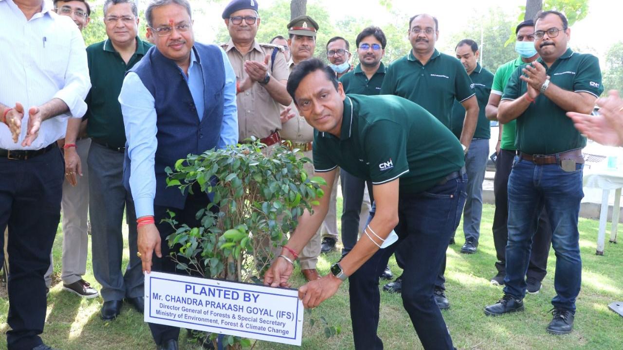 Group of people celebrate the planting of trees