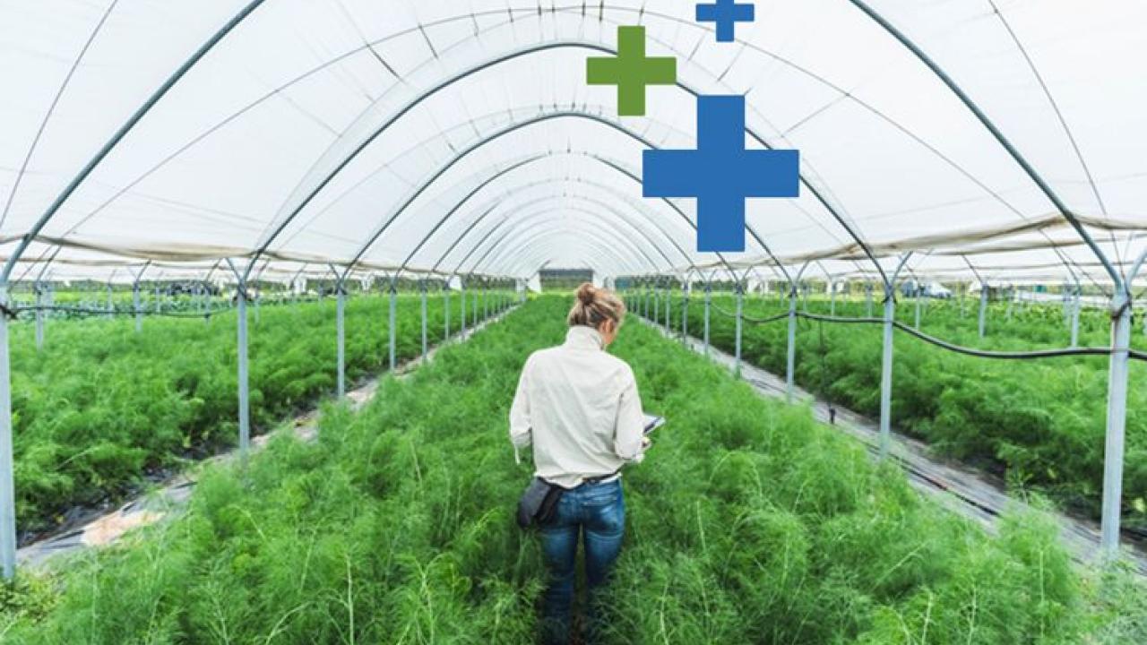 greenhouse