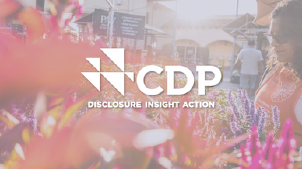 CDP: Disclosure, Insight and Action. Female in Home Depot apron is standing by a floral display.