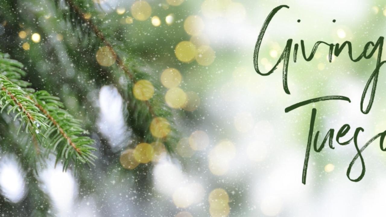 The Home Depot Giving Tuesday