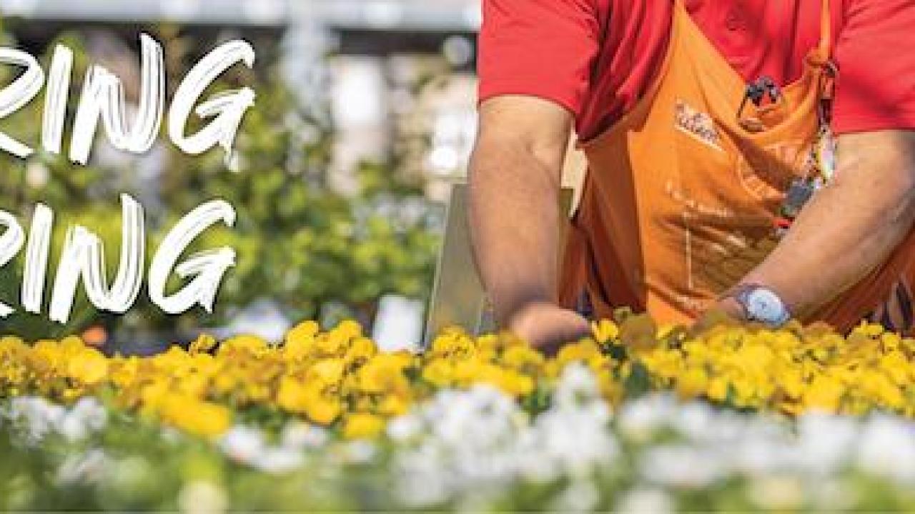 Spring Hiring: Male Home Depot employee is arranging flowers on a display.