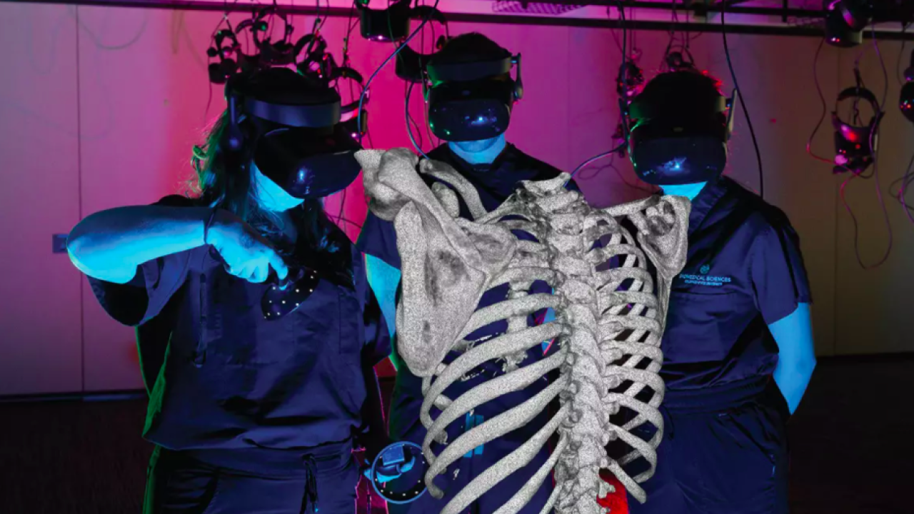 Biomedical students at Colorado State Universitys Clapp Lab work in VR with a chest CT data set to learn structural relationships.
