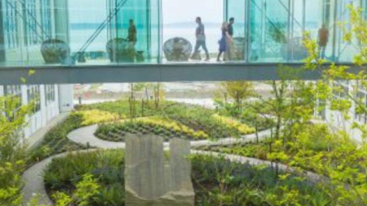 An office building with glass walkway over a lush green courtyard.