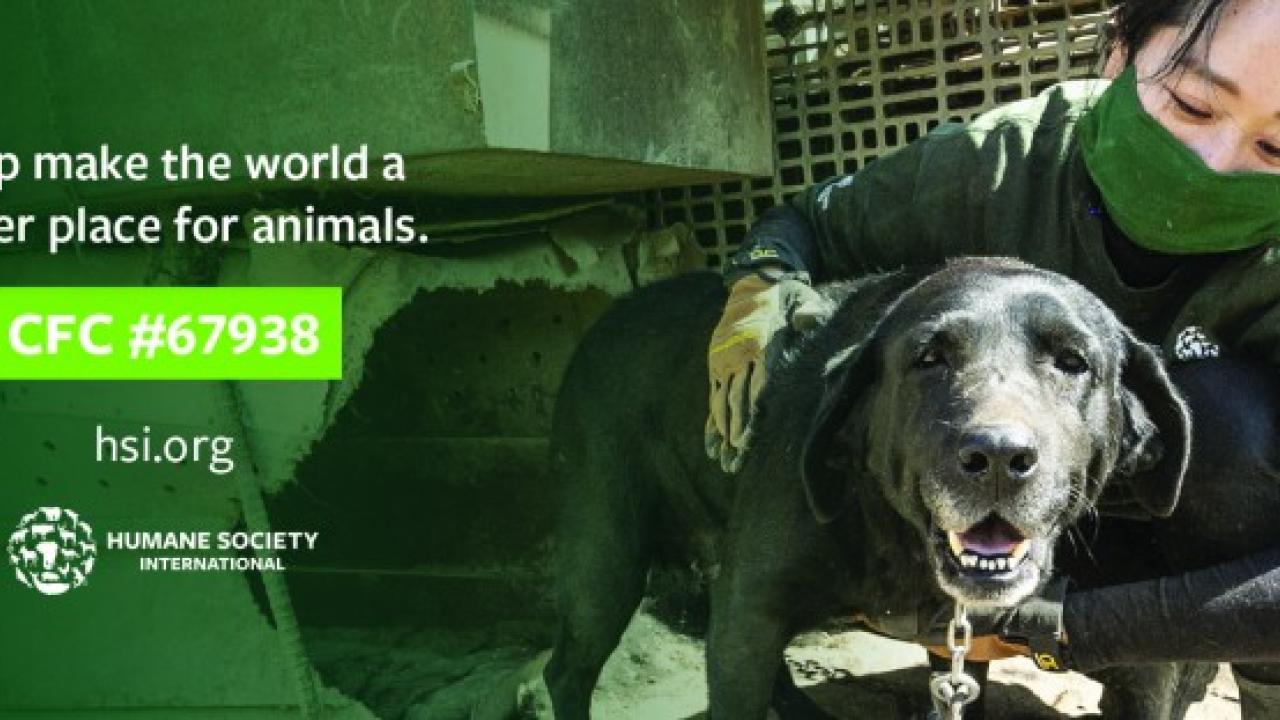 "Help make the world a kinder place for animals" with image of person holding a dog