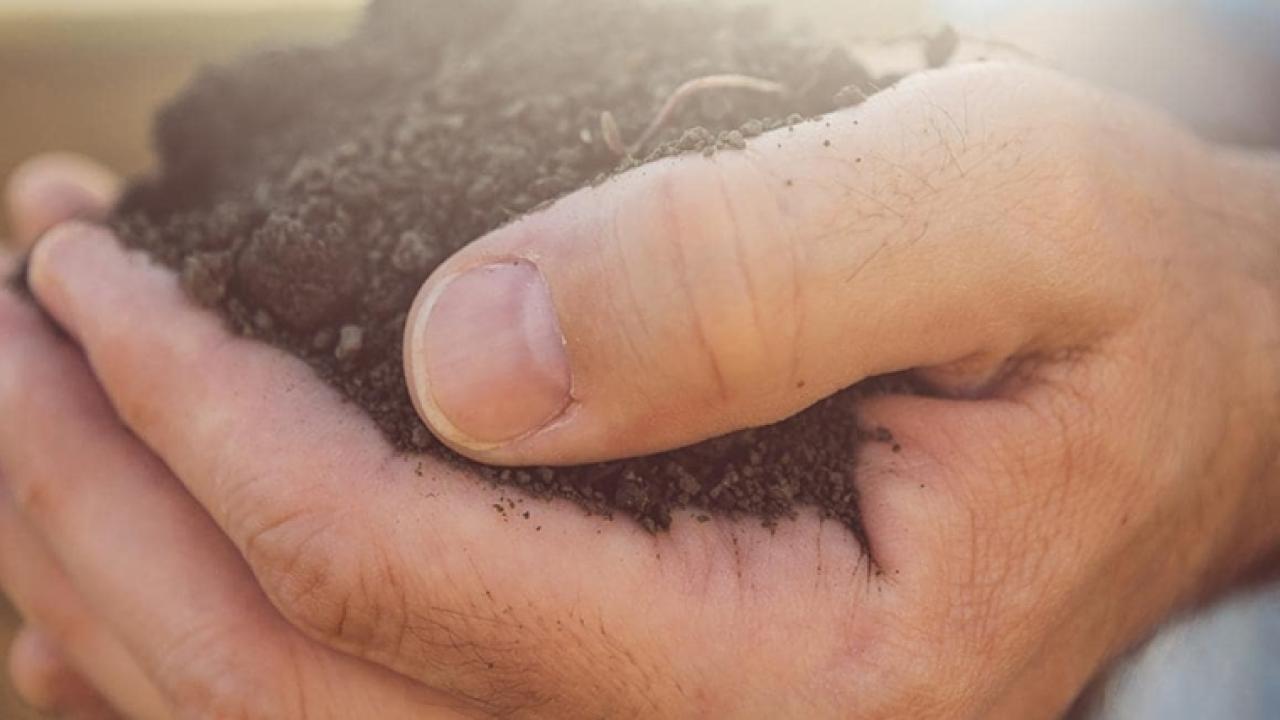 hands holding soil