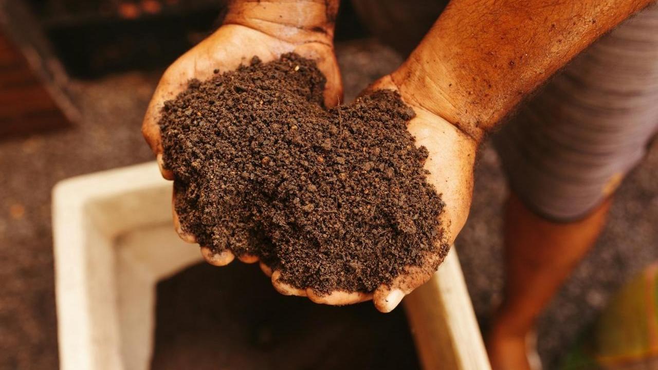 hands in dirt