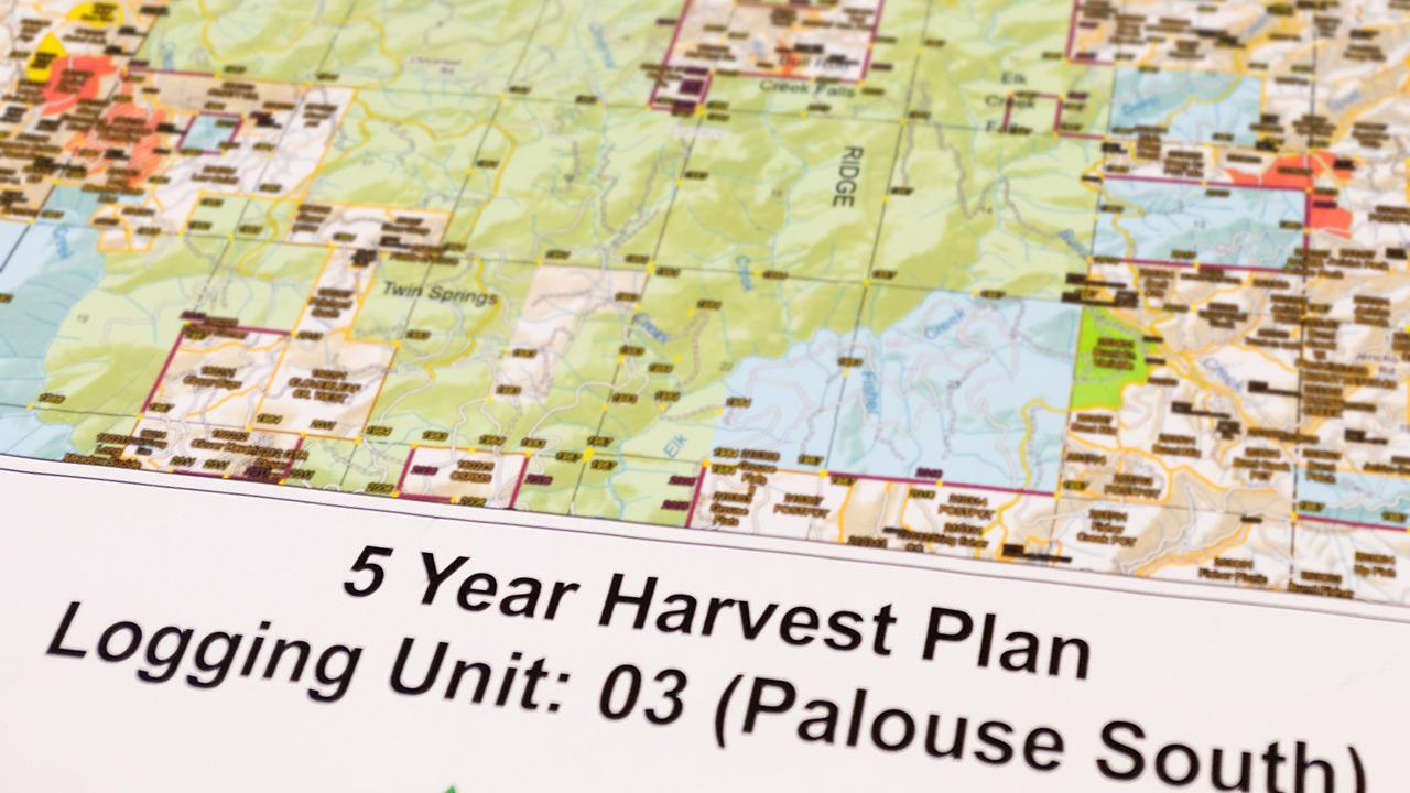 5 Year Harvest Plan Logging Unit: 03 (Palouse South) with Map