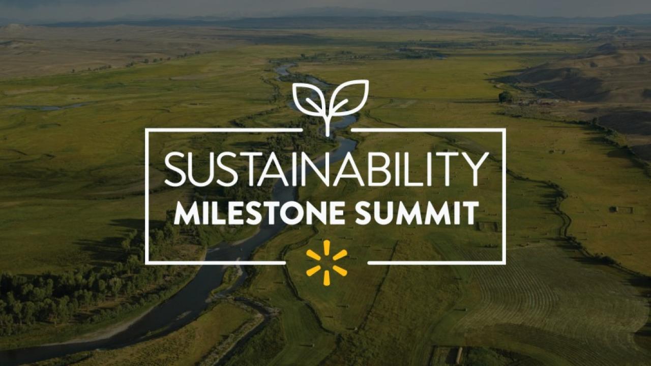 "Sustainability Milestone Summit"
