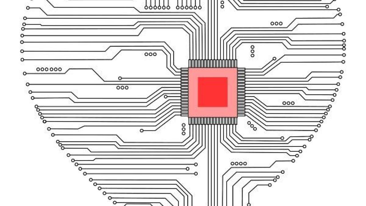 Image of heart-shaped microchip