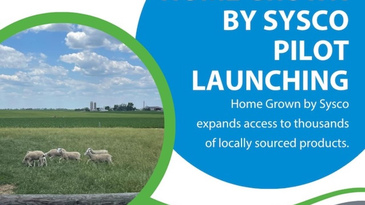Home Grown by Sysco Pilot launching.