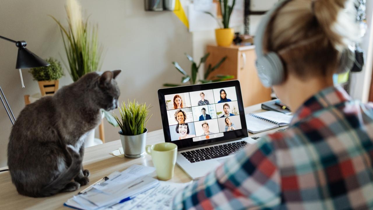 woman working on laptop from home with her cat