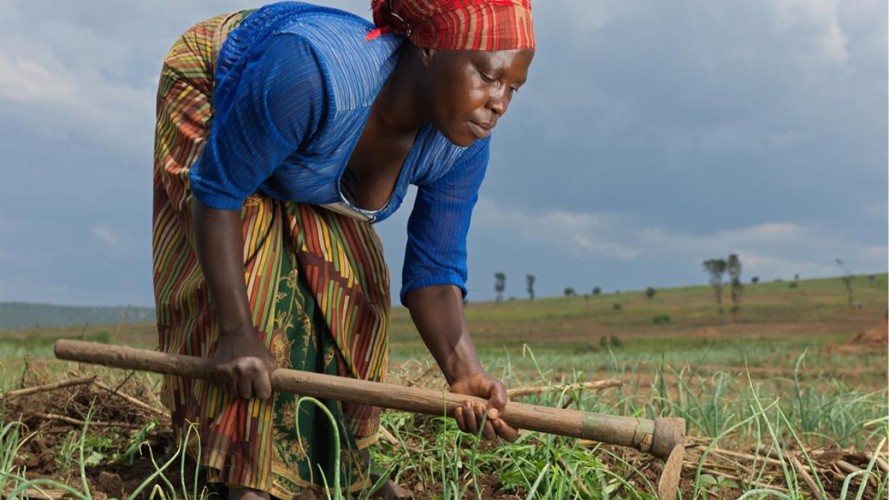 Justine is part of Action Against Hunger’s SIDA project which has helped her to access land, seed, and tools to farm her onions.